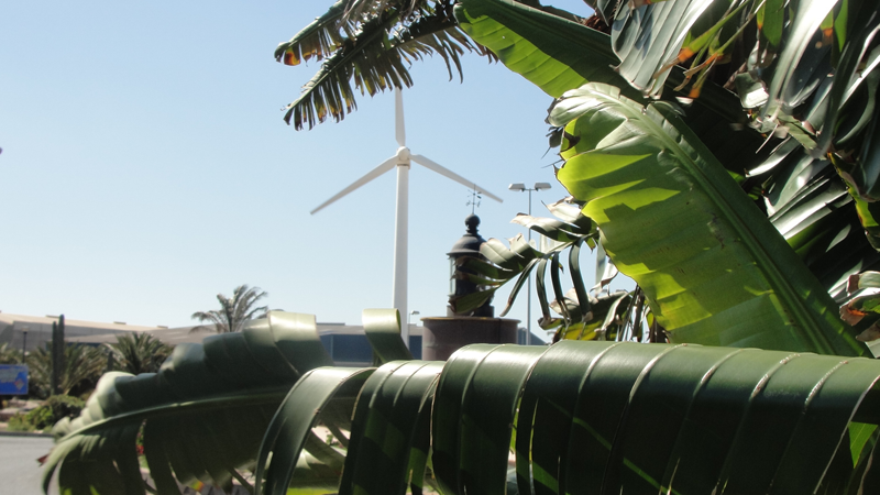 Aerogenerador en Canarias. 