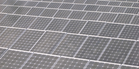 Endesa inicia en Murcia la construcción de su mayor planta fotovoltaica en España