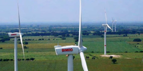 Grupo Bimbo se adhiere a RE100 y se compromete a consumir energía eléctrica 100% renovable en 2025