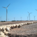 El 45,7% de la energía eléctrica consumida en Aragón procede de fuentes renovables