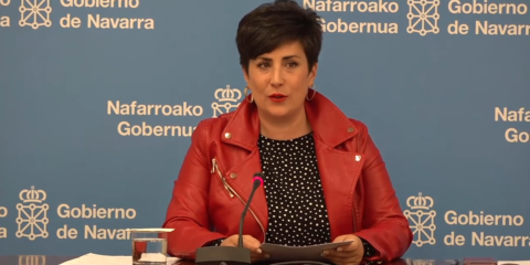 Dos plantas fotovoltaicas en Tudela son declaradas como inversión de interés foral en Navarra