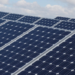 Una universidad de Canadá halla un proceso económico y sostenible para construir células solares biogénicas