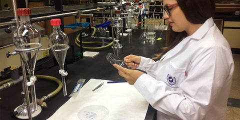 Universidad de Málaga investiga nuevas células fotovoltaicas orgánicas con mayor eficiencia