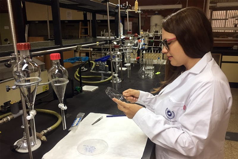 Investigadora en la Universidad de Málaga. 