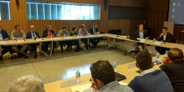 Reunión del Consejo Asesor de la Energía de Islas Baleares.