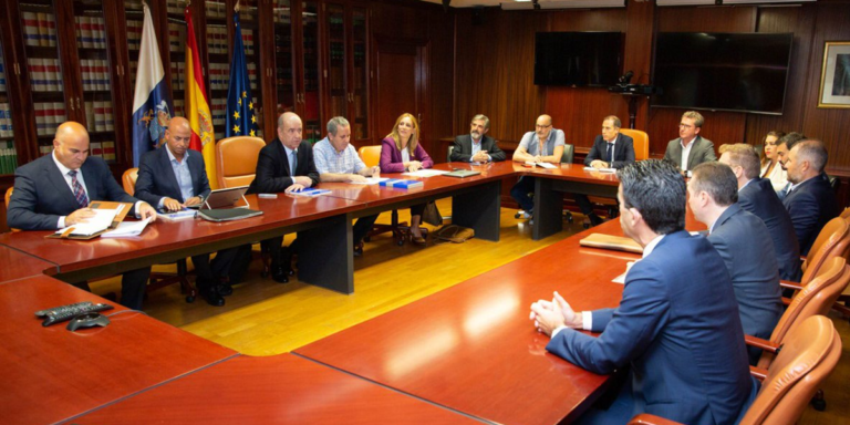 Encuentro de Pedro Ortega con representantes del sector eólico en Canarias.
