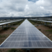 Iberdrola firma un PPA con la primera empresa de alimentación que consumirá energía 100% renovable
