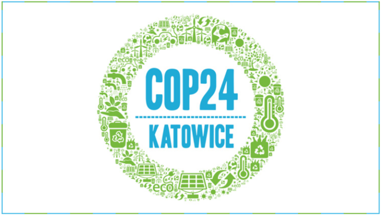 Logo COP24