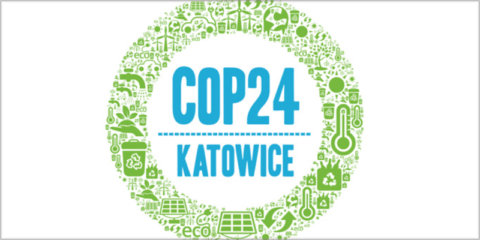 Destacadas compañías eléctricas instan a los Gobiernos a intensificar la lucha contra el cambio climático
