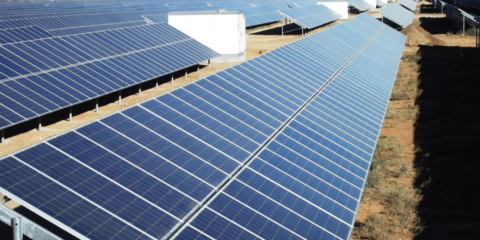 La UE firma una Declaración de cooperación con International Solar Alliance para promocionar la energía solar