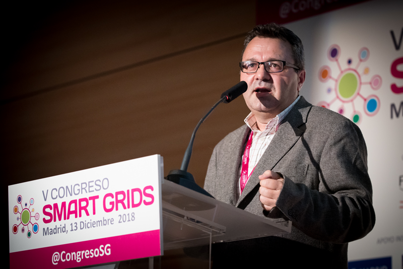 Francisco Javier Ferrández en el V Congreso Smart Grids. 