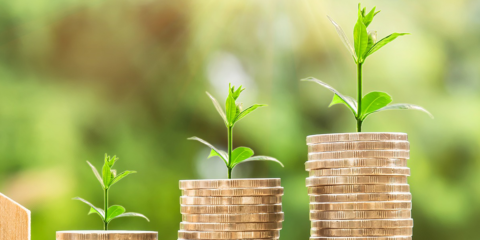 BBVA lanza un producto transaccional verde para avalar proyectos de energía limpia