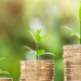 BBVA lanza un producto transaccional verde para avalar proyectos de energía limpia