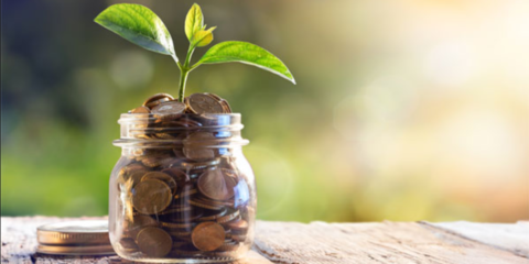 La financiación verde permite a Red Eléctrica reducir su margen de crédito sindicado