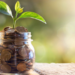 La financiación verde permite a Red Eléctrica reducir su margen de crédito sindicado