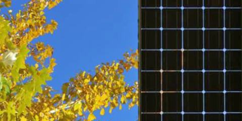 El IDAE y OMIE trabajarán conjuntamente para ensayar el futuro de los mercados de electricidad