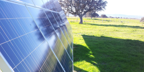 Dos plantas solares españolas de OPDEnergy son adquiridas por el fondo de infraestructuras europeo Marguerite