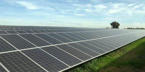 El parque solar Don Rodrigo en Sevilla abastecerá de electricidad a 93.000 hogares