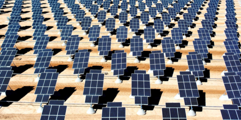 Alianza para una gestión inteligente de instalaciones fotovoltaicas a través de la plataforma projectingPLUS