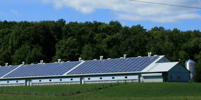 Placas fotovoltaicas sobre cubierta