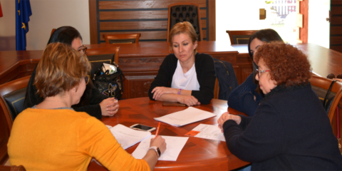 Murcia contará en 2020 con una gran planta fotovoltaica de 460 megavatios en el municipio de Campos del Río