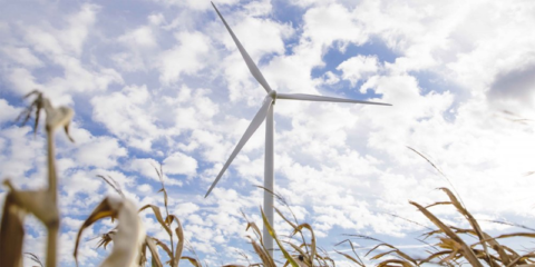 Microsoft comprará a EDPR la energía de los 125 MW de un nuevo parque eólico en el estado de Ohio