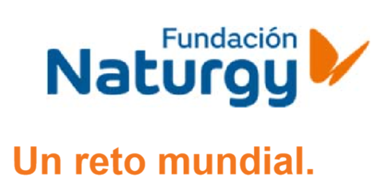 Logo Fundación Naturgy