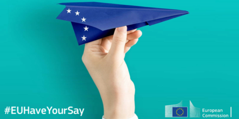 Consulta de la Comisión Europea sobre los proyectos candidatos a PCI para redes inteligentes