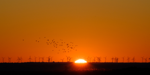 Arranca la construcción del parque eólico El Pradillo en Zaragoza que tendrá una potencia de 23 MW