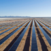 La primera Carta de Crédito Verde en Europa se destina al suministro de paneles a una planta solar en México