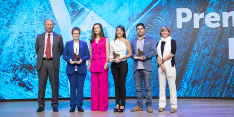 Una técnica de diagnóstico del generador eléctrico para optimizar parques eólicos, Premio Eolo de Innovación 2019