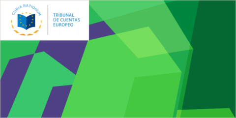 El Tribunal de Cuentas Europeo insta a la UE a adoptar medidas para generar electricidad de la energía eólica y solar