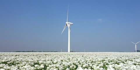 El Acuerdo Climático Holandés apuesta por la reducción de las emisiones de CO2 en un 49% para el año 2030