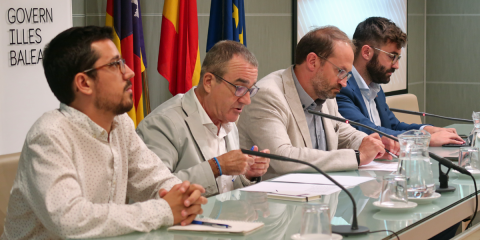 Presentan 56 proyectos a las ayudas del IDAE para el desarrollo de parques fotovoltaicos en Baleares