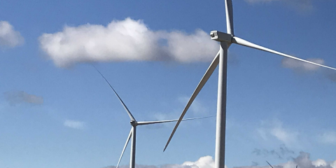 Forestalia desarrollará 1,8 GW de energía eólica y fotovoltaica en más de 30 municipios de Aragón