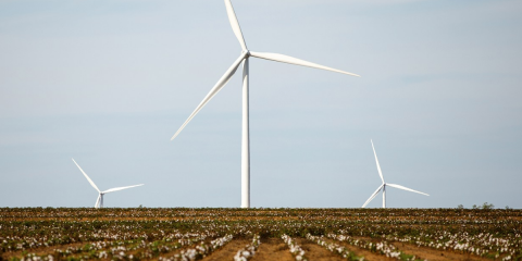 Amazon construirá un parque eólico en Irlanda y otro solar en Estados Unidos para suministrarse con energía limpia