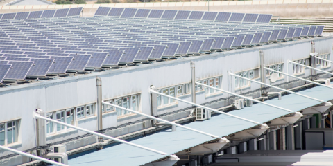 Las instalaciones de Mercalicante se abastecen exclusivamente de energía procedente de renovables