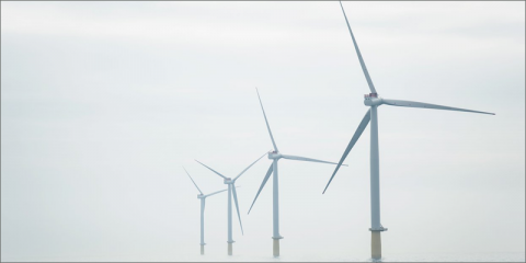 Reino Unido adjudica los contratos para 3 parques eólicos offshore en Dogger Bank con capacidad total de 3,6 GW