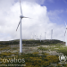 Electricidad de origen 100% renovable para todas las oficinas de la agencia de ACNUR en España
