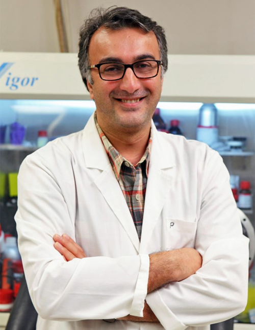 Profesor Amin Salehi-Khojin