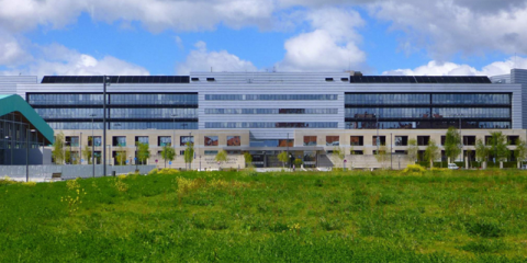 Aprobada la contratación centralizada del suministro eléctrico 100% renovable para la Administración Pública Vasca