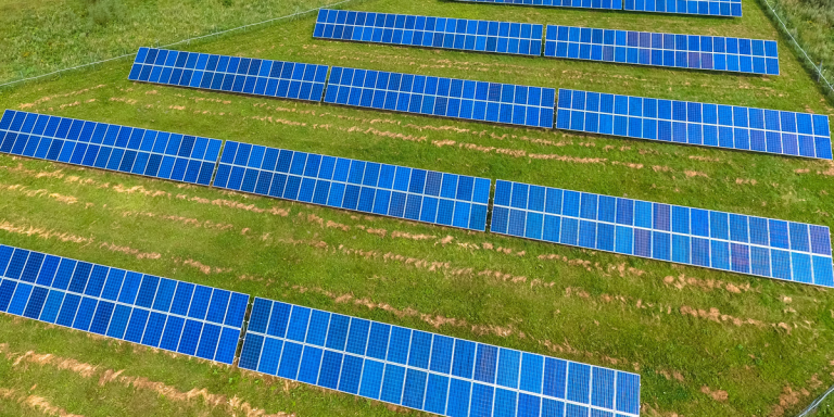 Paneles solares en un terreno con césped.