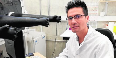 Diseñan nuevos materiales moleculares para mejorar la eficiencia de dispositivos fotovoltaicos