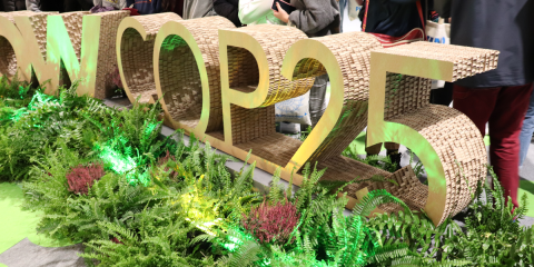 La COP25 sienta las bases para impulsar compromisos de reducción de emisiones más ambiciosos en 2020