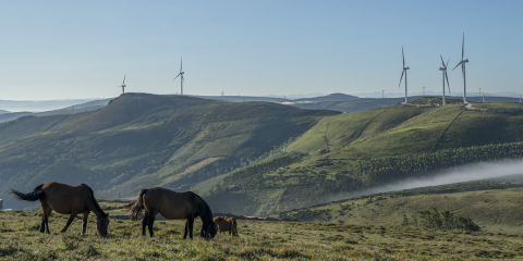 Seis nuevos parques eólicos en la provincia de Lugo que suman 128 MW de potencia ya están en funcionamiento
