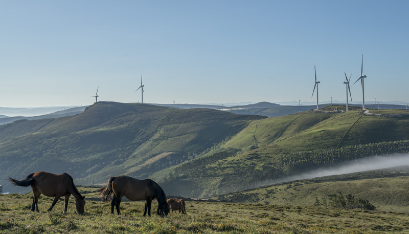 Parque eólico de Norvento en Lugo