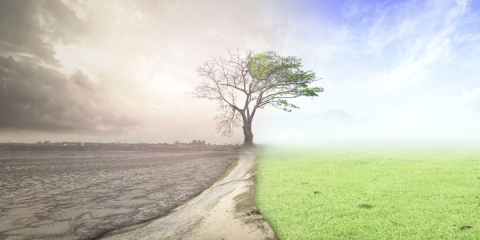 Declarada la emergencia climática y ambiental por el Parlamento Europeo