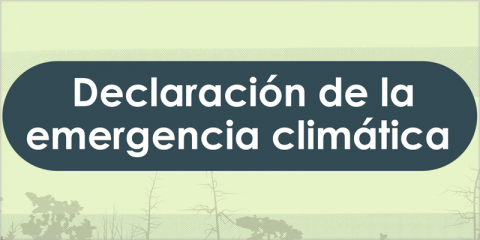 El Gobierno declara la emergencia climática en España y se compromete a desarrollar 30 líneas de acción