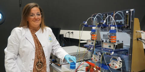 Higreew desarrollará baterías orgánicas de flujo sostenibles y eficientes para favorecer las energías renovables