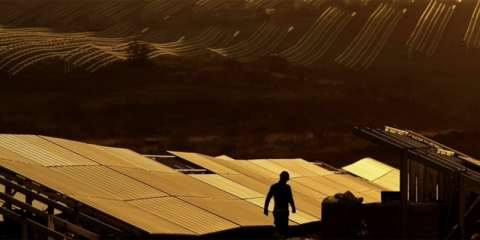 Finalizan las obras de construcción de la planta fotovoltaica Núñez de Balboa de 500 MW en Extremadura